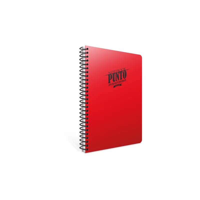 GIPTA PUNTO SPİRALLİ PP KAPAK DEFTER A4 160 KARELİ