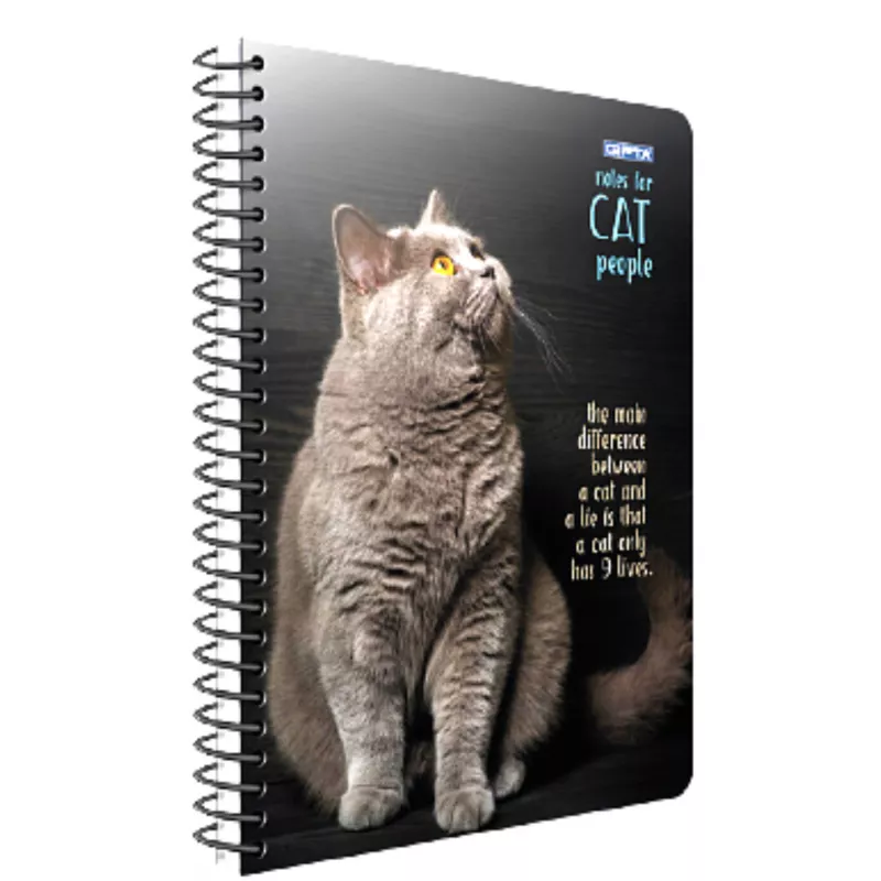 GIPTA NOT CAT 17-24 DEFTER 80 YP KRL