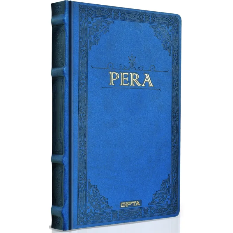 GIPTA DEFTER PERA 17X24 İPLİK DİKİŞLİ DERİ KAPAK 160 YP.DÜZ 1993