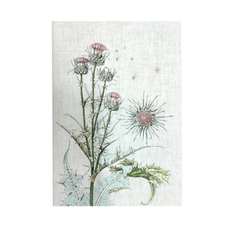 YMN MUUS PLANTE THİSTLE 16,5X23,5 64sf. TERZİ DİKİŞLİ KIRMIZI ÇİZGİLİ BUTİK DEFTER