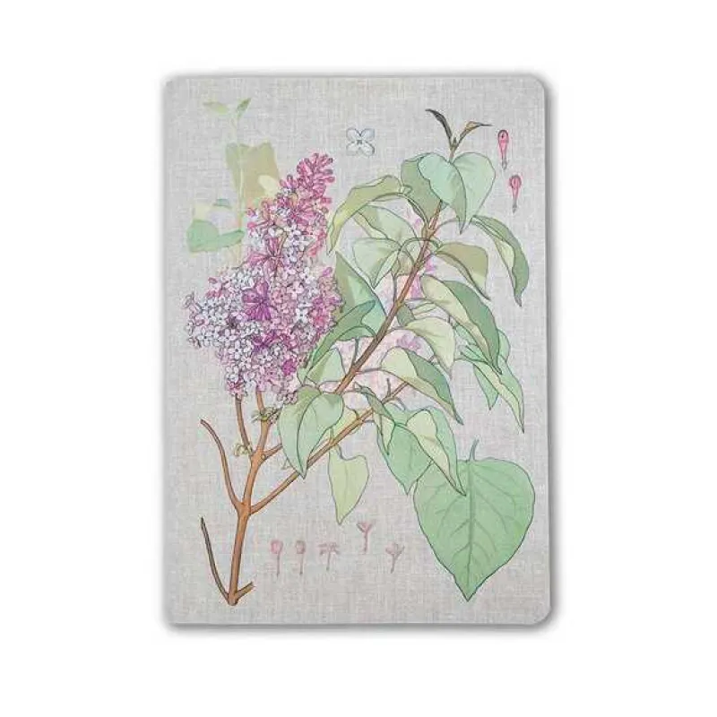 YMN Muus Sewing Plante Lilac 16x23 64 sayfa TERZİ DİKİŞLİ Kırmızı Çizgili butik Defter