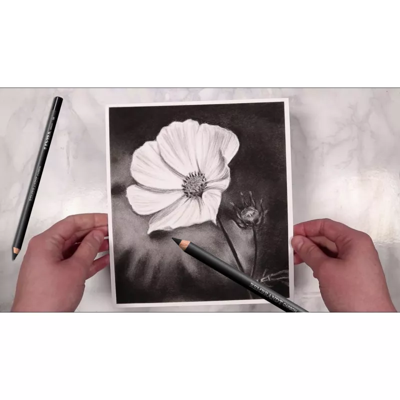 Lyra Rembrandt Carbon Hi-Quality Eskiz ve Çizim için 3B Dereceli Füzen Kalem 