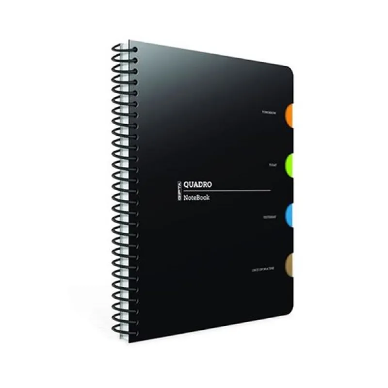 GIPTA DEFTER QUADRO 17X24 SPİRALLİ PP KAPAK 4 SEPERATÖRLÜ 150 YP. KARELİ 2908