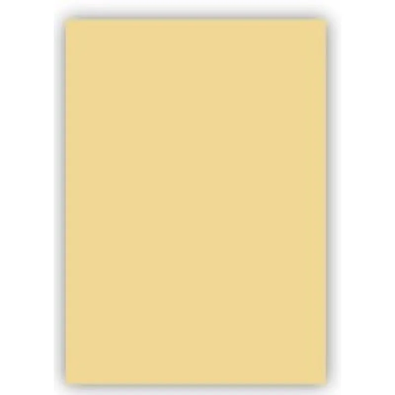 UMUR CRAFT AND ARTS FON KARTONU 50x70 160 GR KREM UMU-30010818