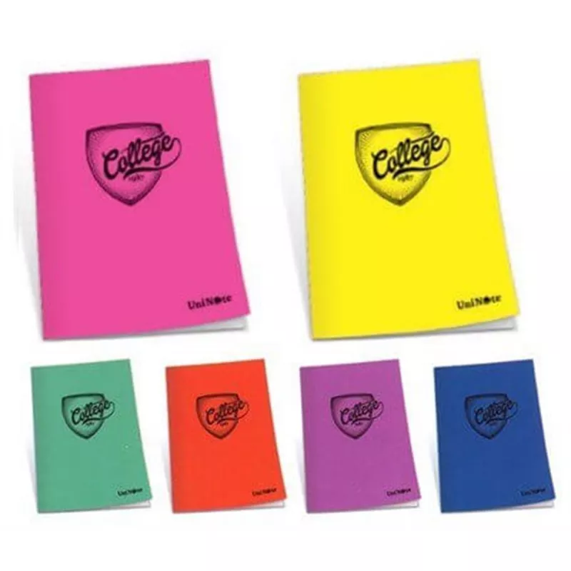 ÇINAR DEFTER A4 COLLEGE PLASTİK KAPAK 60YP.KARELİ 76002